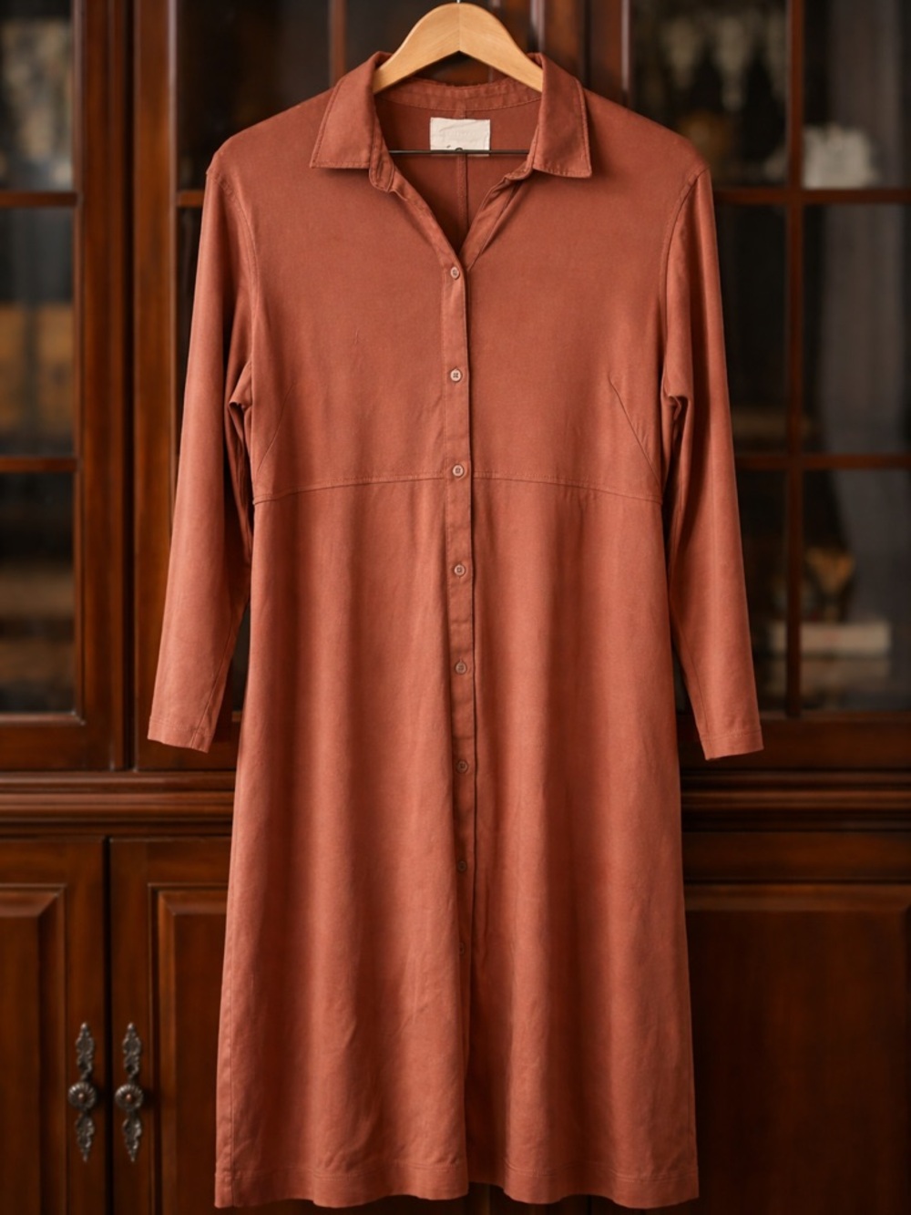 Everlane Button-Front Midi Dress in Rust